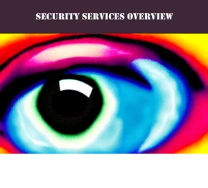Security Services For Managed Service Providers